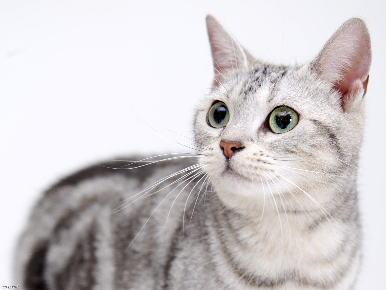 メールフォーム機能について説明します